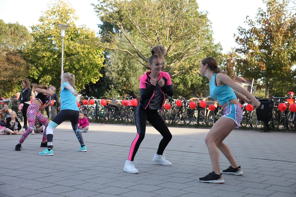 Schoolplein Festival B 237.jpg